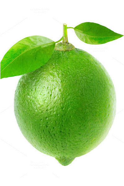 Fresh Lime